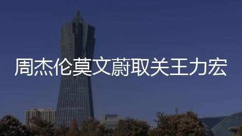 点赞宏 态文蔚王力文山文动伦莫李靓蕾长周杰 方取关